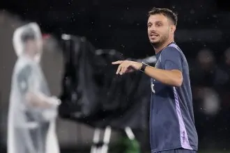 botafogo fluminense martin anselmi