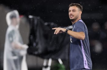 botafogo fluminense martin anselmi