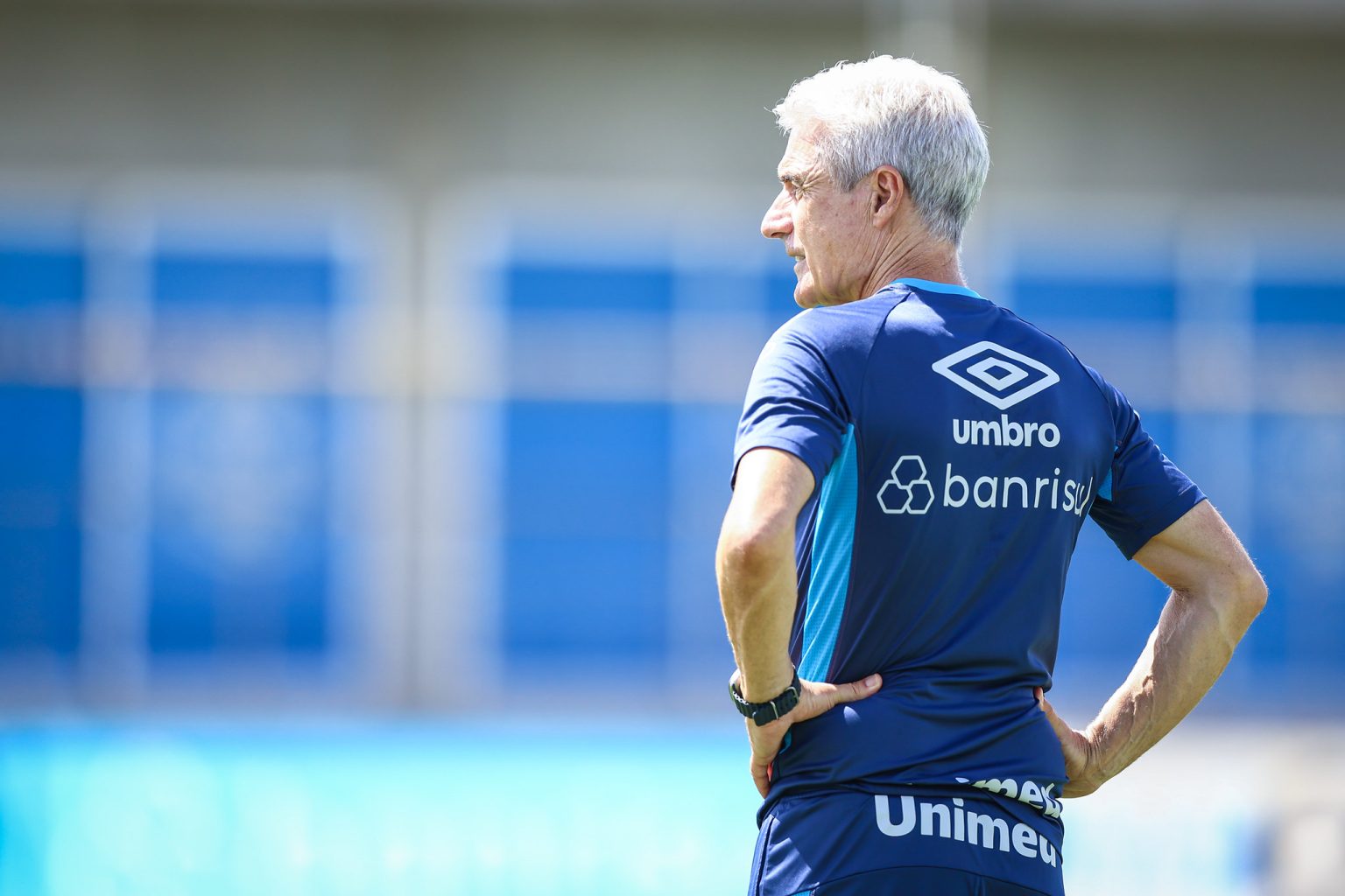 botafogo gremio luis castro treino
