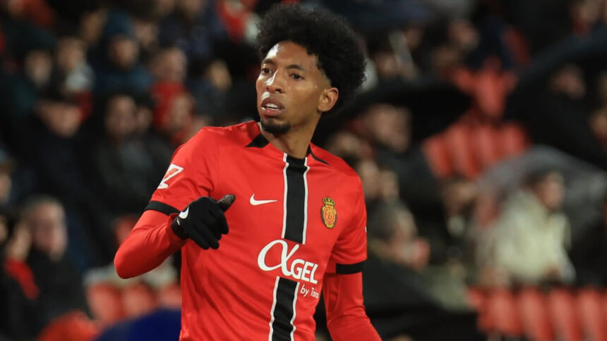 botafogo johan mojica