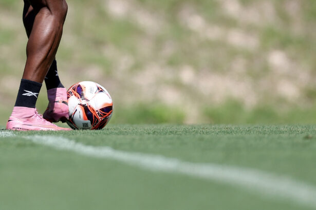 botafogo treino espaco lonier generica
