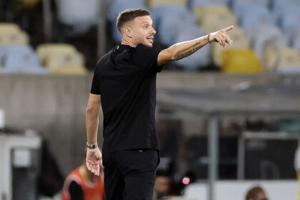 fluminense botafogo martin anselmi