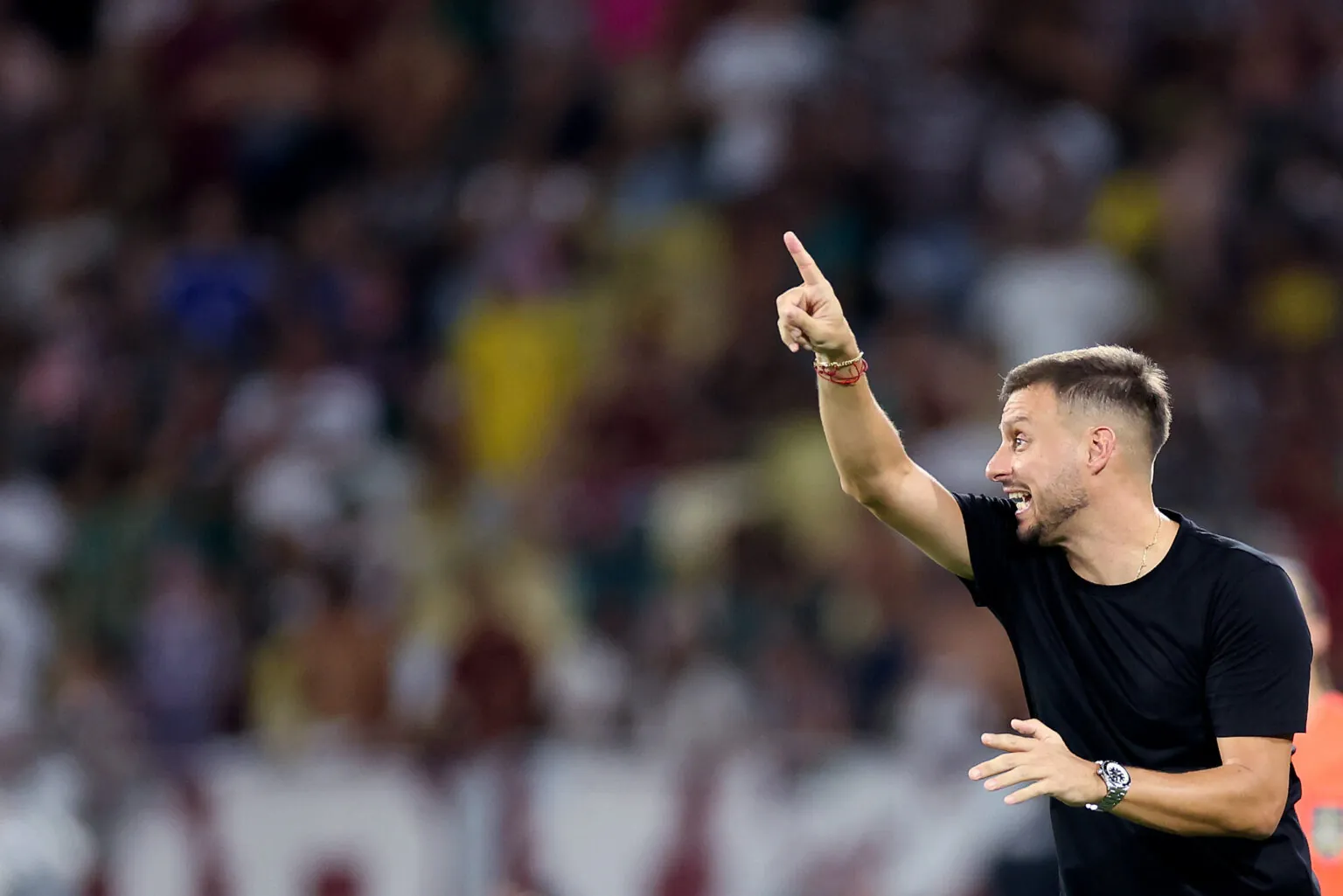 fluminense botafogo martin anselmi maracana