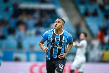 gremio botafogo carlos vinicius