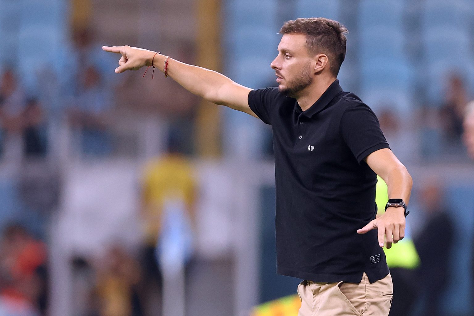 gremio botafogo martin anselmi