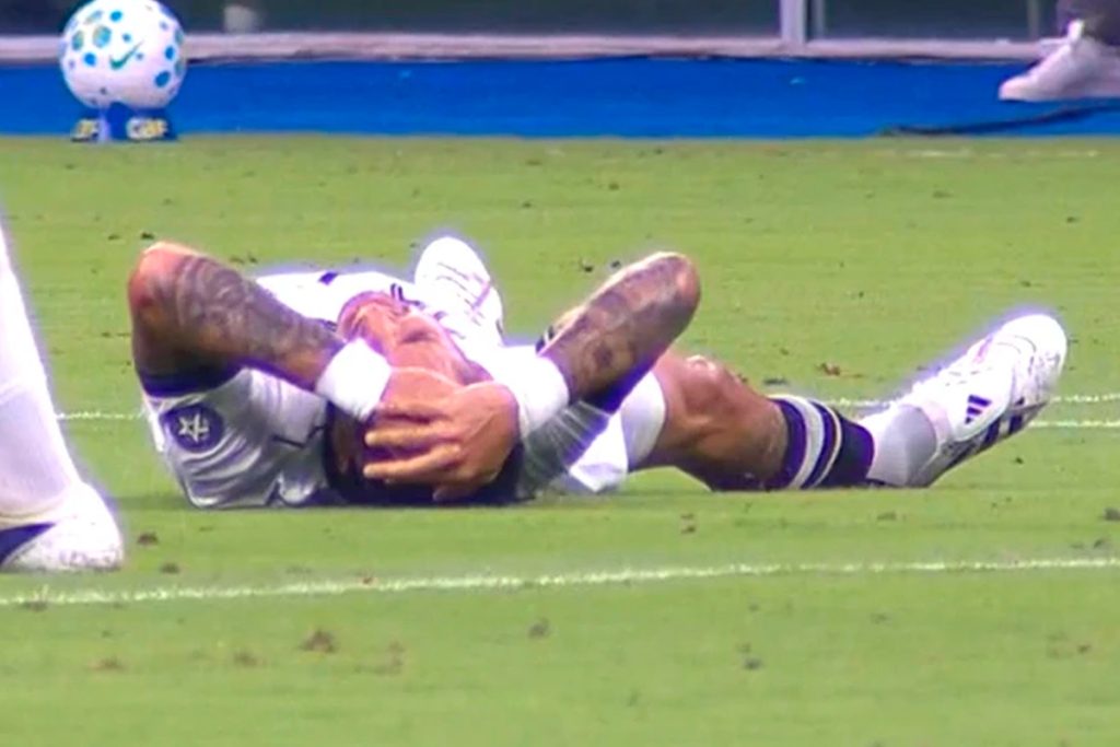 gremio botafogo santi rodriguez lesao 2