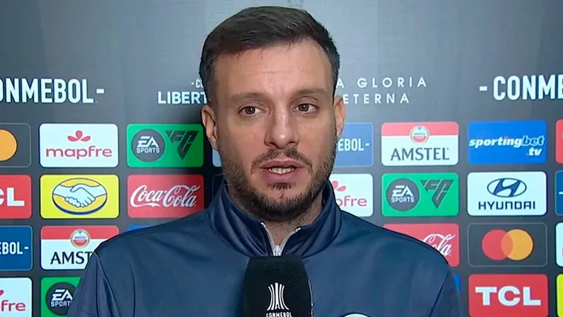 nacional potosi botafogo anselmi entrevista