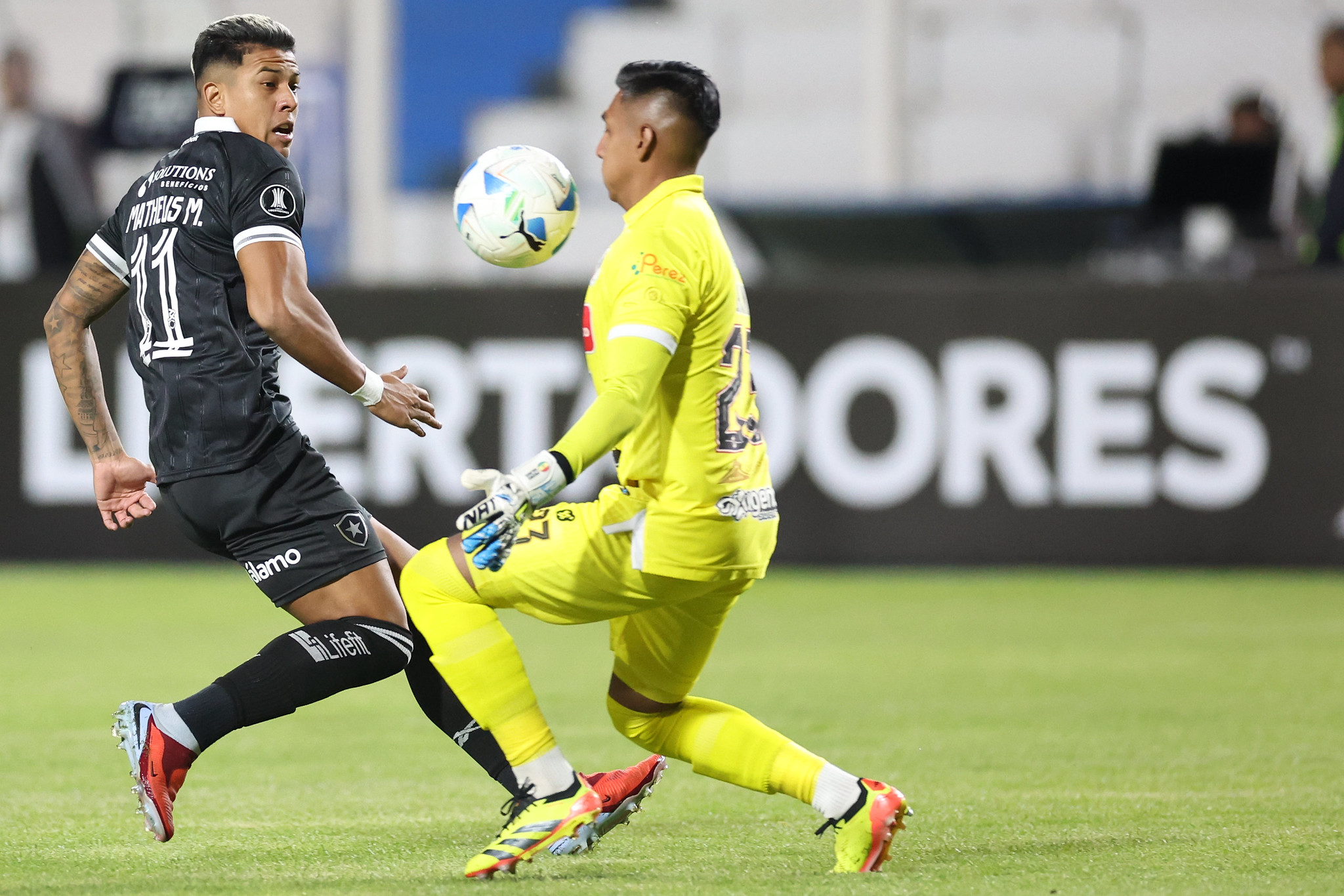 VÍDEO: Melhores momentos de Nacional Potosí 1x0 Botafogo pela ...