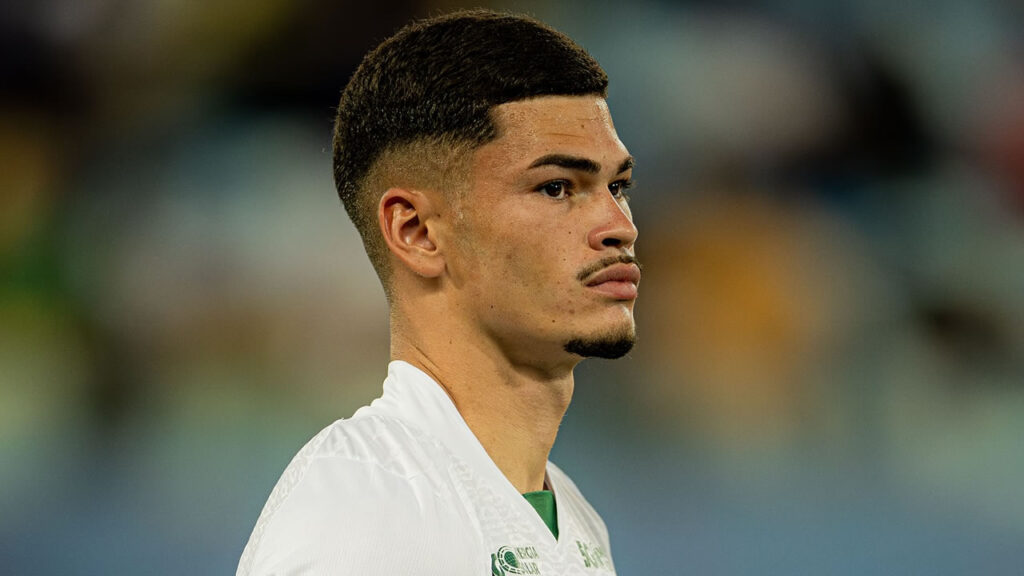 anthony goias botafogo