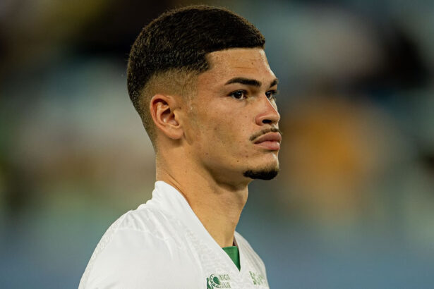 anthony goias botafogo