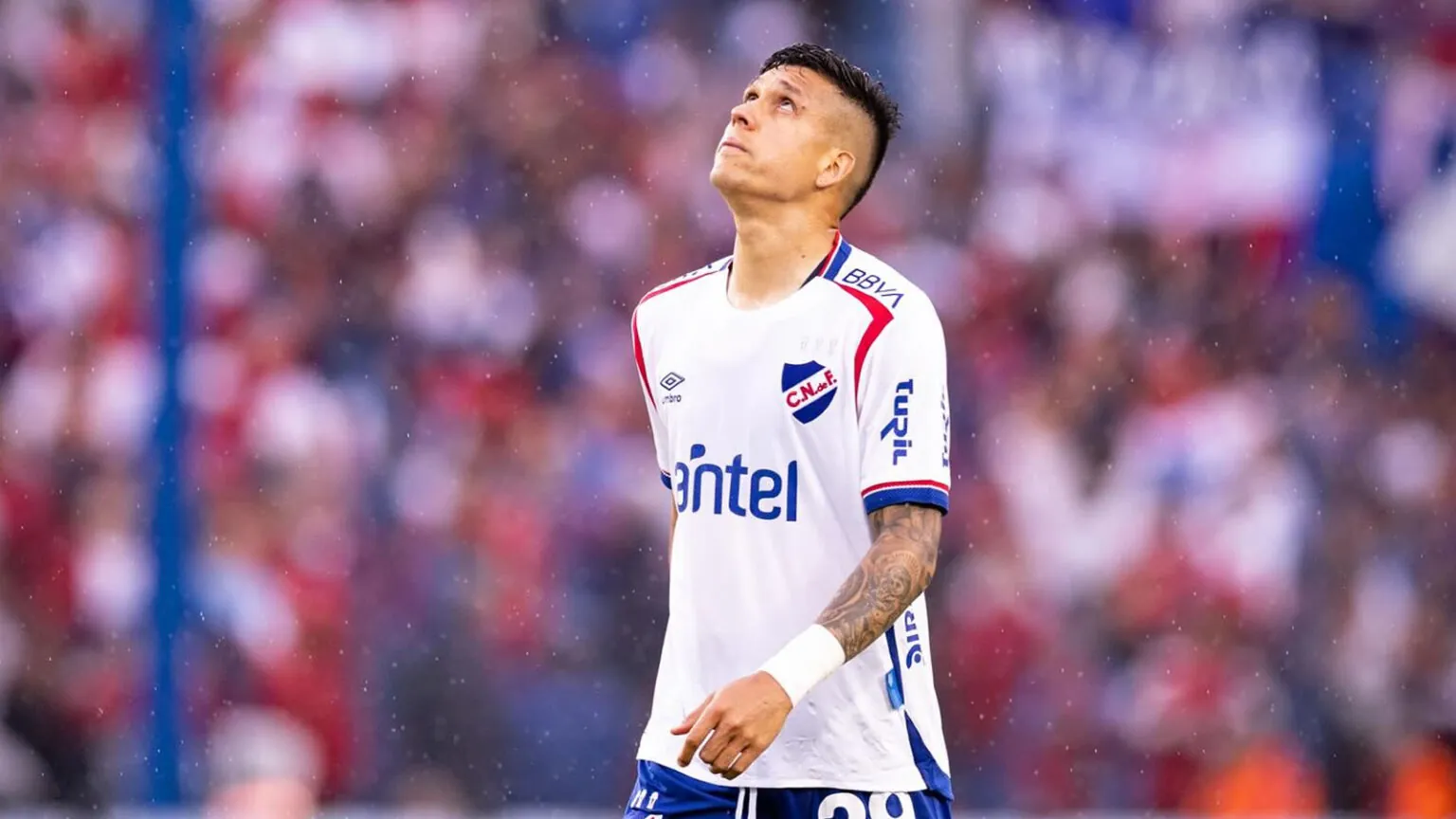 botafogo Julian Millan fluminense 2