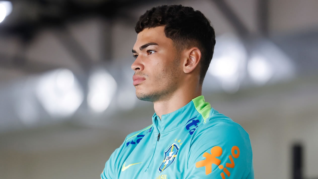 botafogo anthony goias