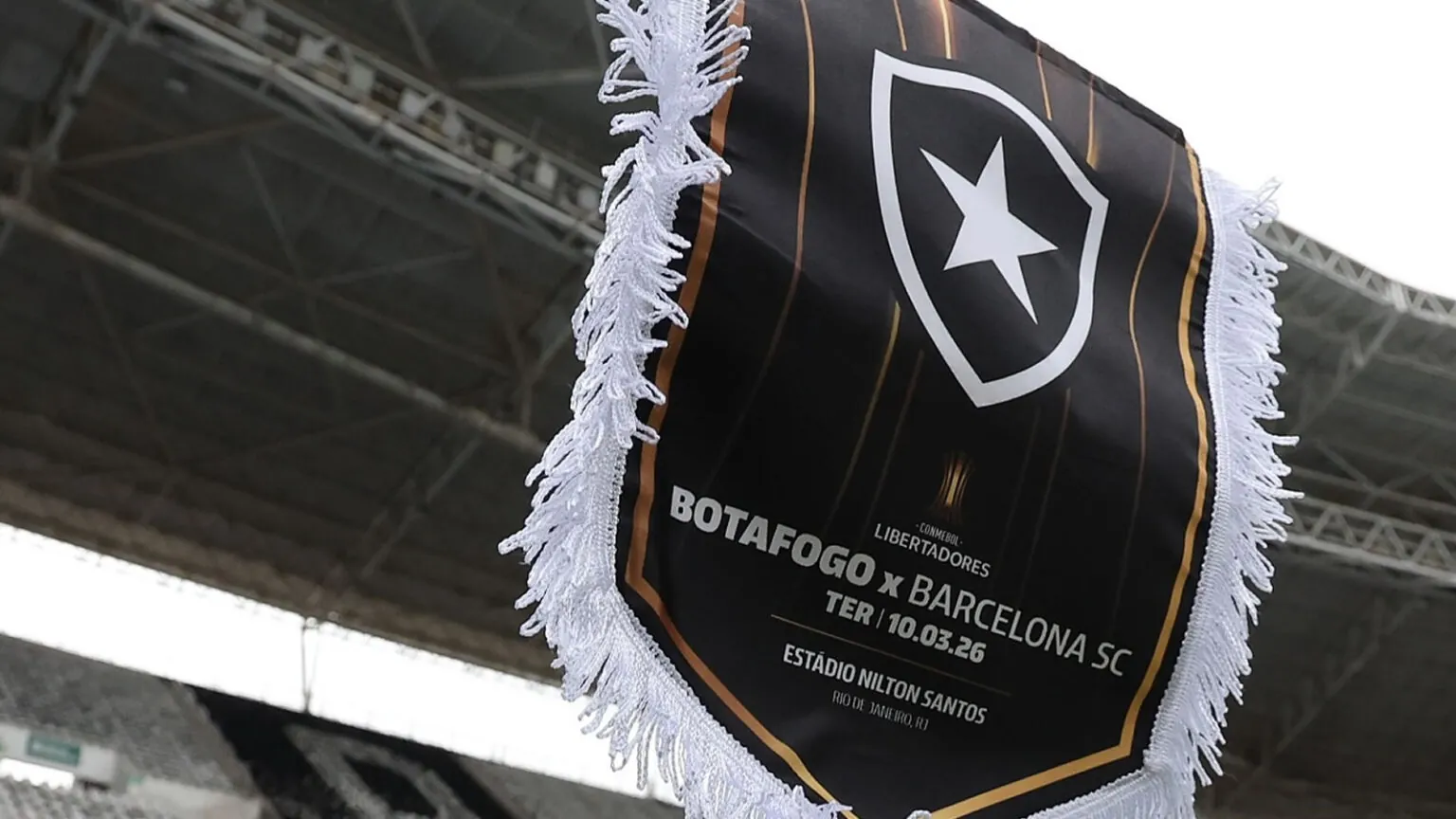botafogo barcelona-equ libertadores