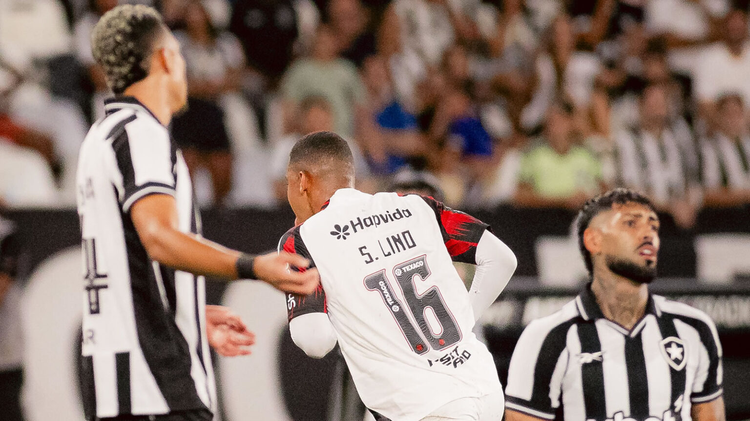 botafogo flamengo barrera barboza