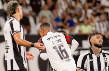botafogo flamengo barrera barboza