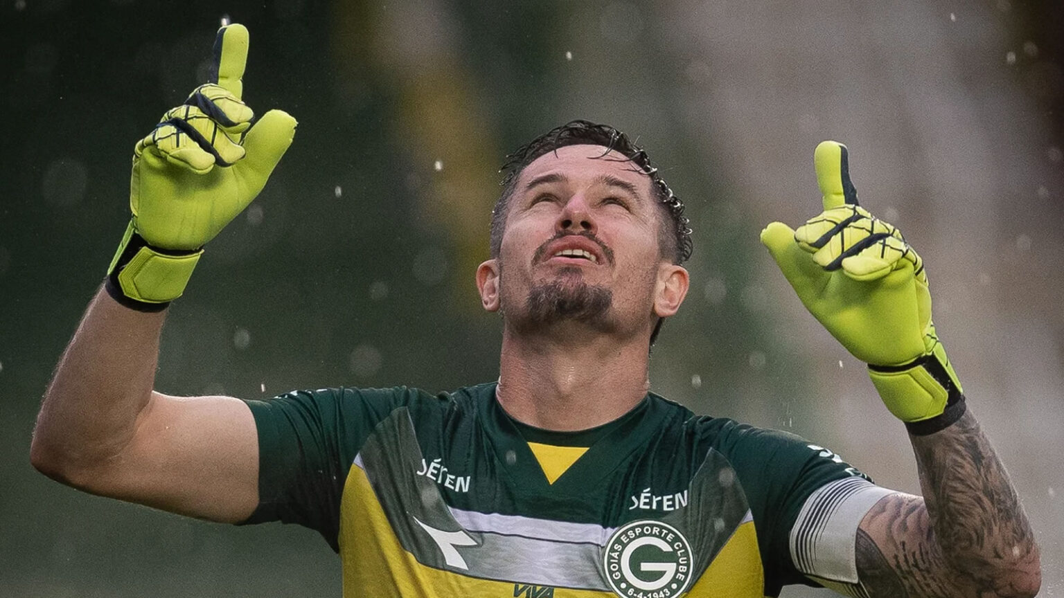 botafogo tadeu goias 2