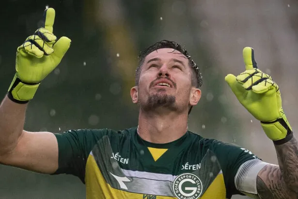 botafogo tadeu goias 2