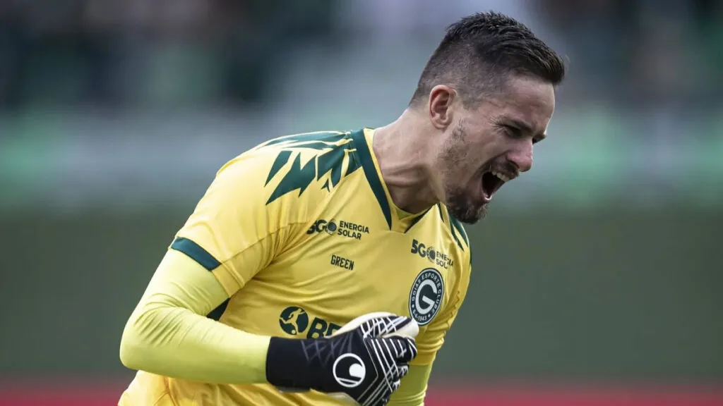 botafogo tadeu goleiro goias