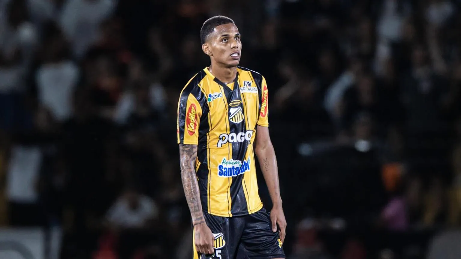 dantas botafogo novorizontino