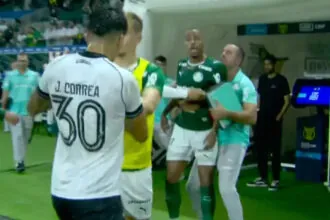 palmeiras botafogo marlon freitas
