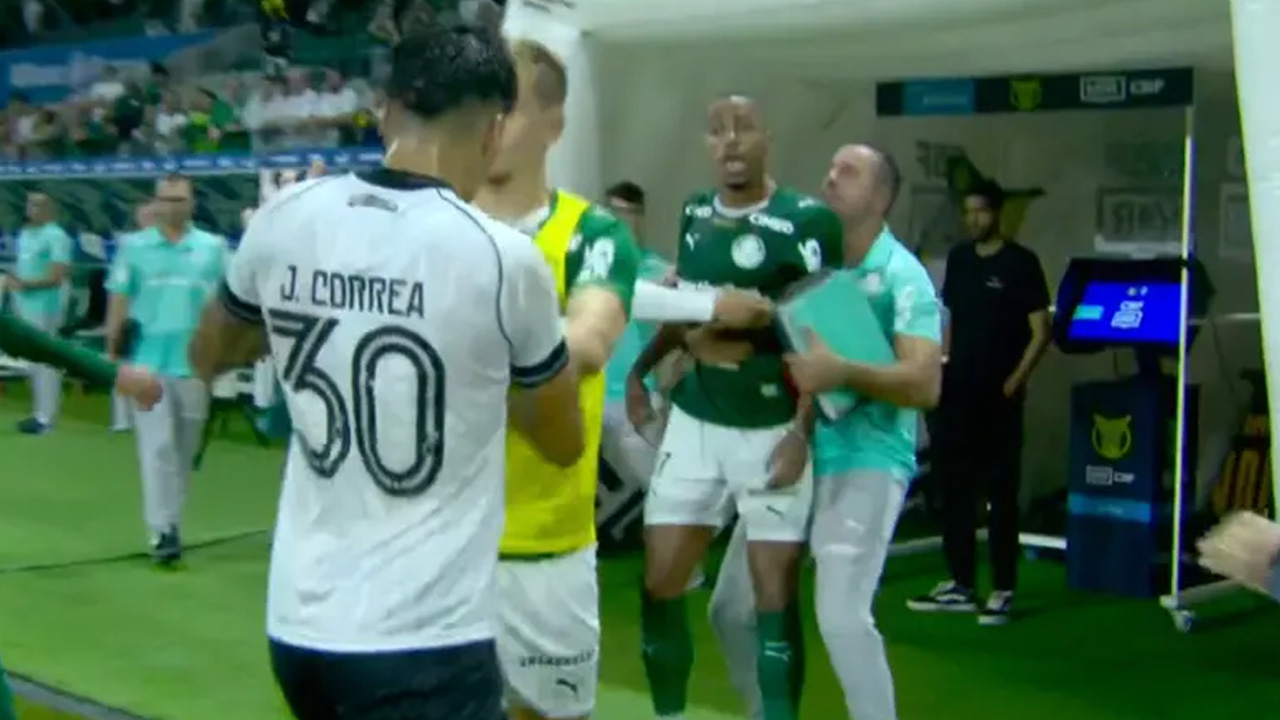 palmeiras botafogo marlon freitas