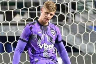 palmeiras botafogo raul