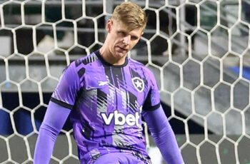 palmeiras botafogo raul