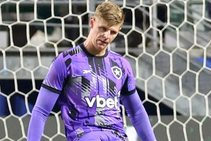 palmeiras botafogo raul