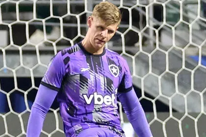 palmeiras botafogo raul