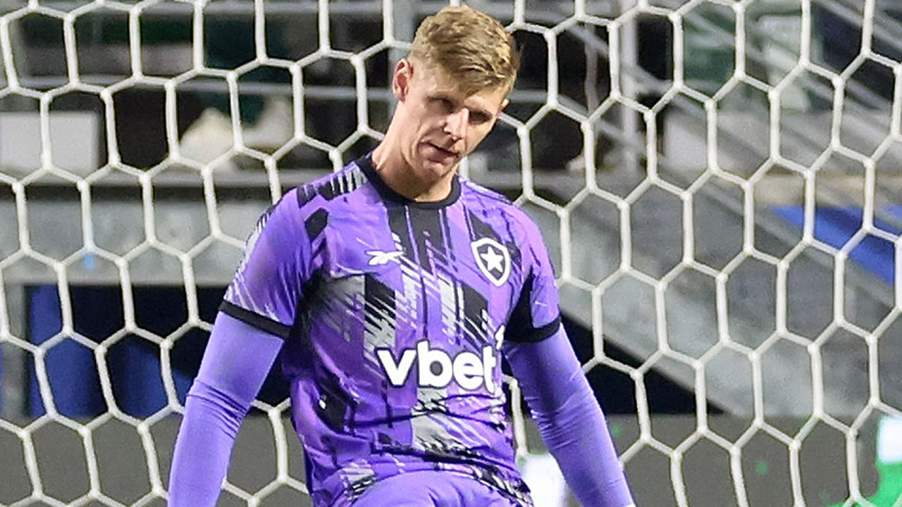 palmeiras botafogo raul