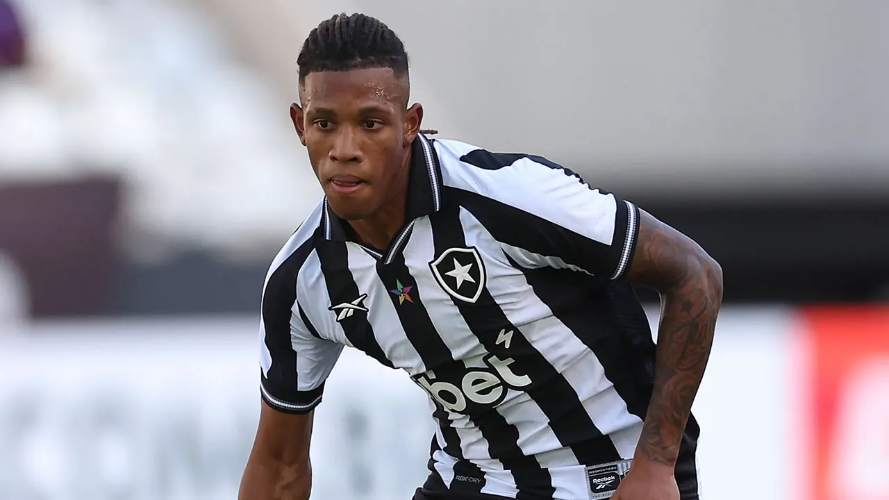botafogo coritiba danilo 2