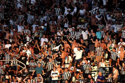 botafogo coritiba torcida