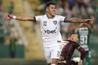 chapecoense botafogo matheus martins gol