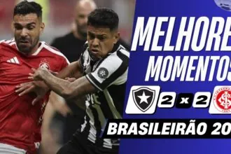 melhores momentos botafogo internacional