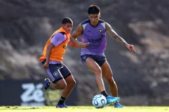 tucu correa huguinho botafogo treino