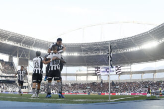 botafogo corinthians comemoracao gol