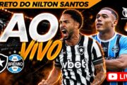 botafogo gremio ao vivo