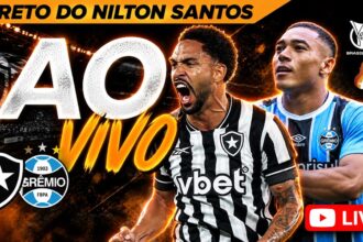 botafogo gremio ao vivo