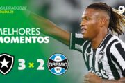 botafogo gremio melhores momentos