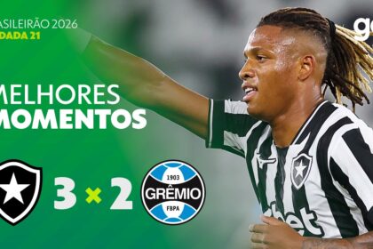 botafogo gremio melhores momentos